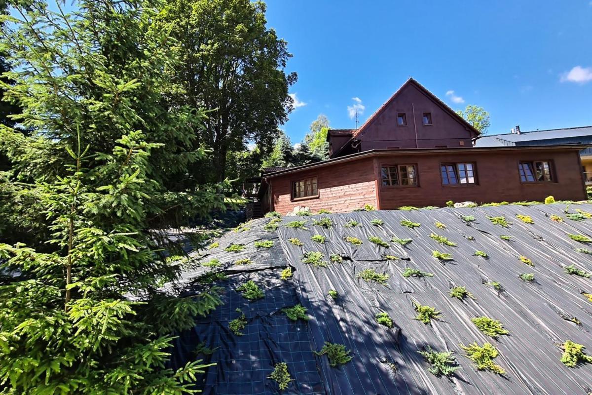Penzion Harry Na Sjezdovce Krkonose Vysoké nad Jizerou Esterno foto