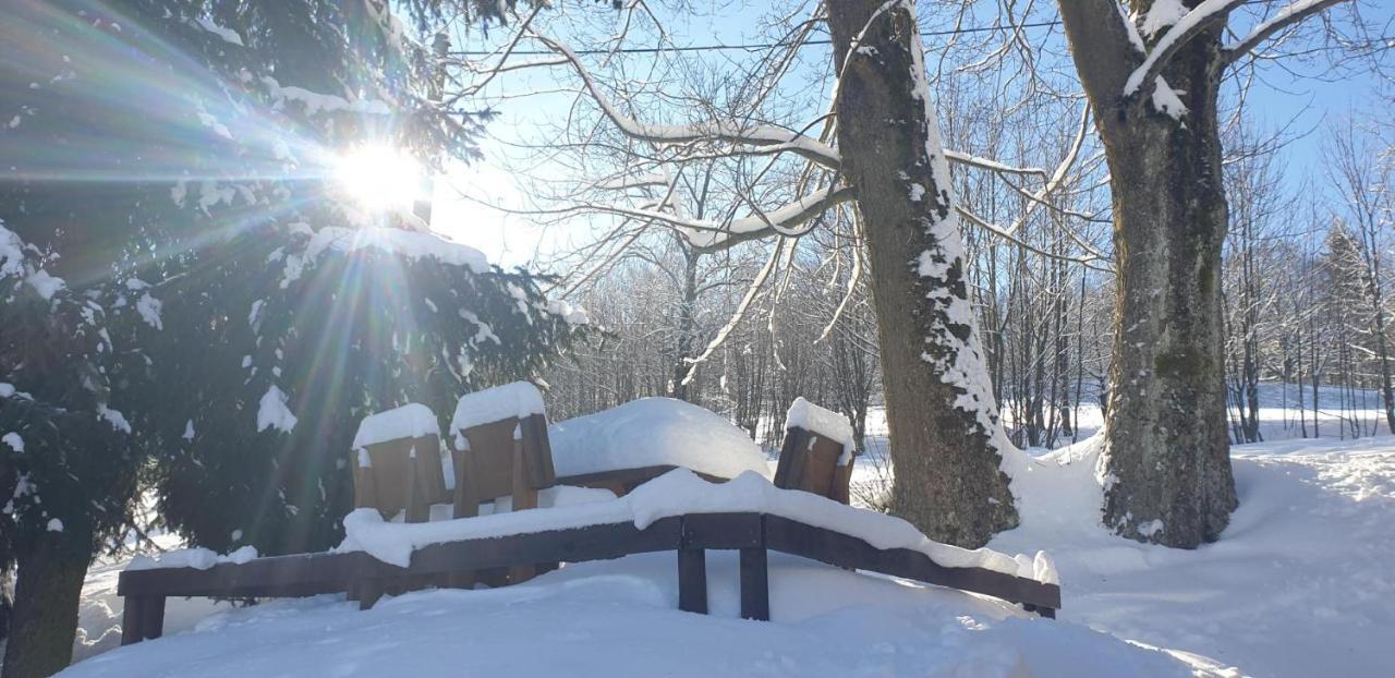 Penzion Harry Na Sjezdovce Krkonose Vysoké nad Jizerou Esterno foto