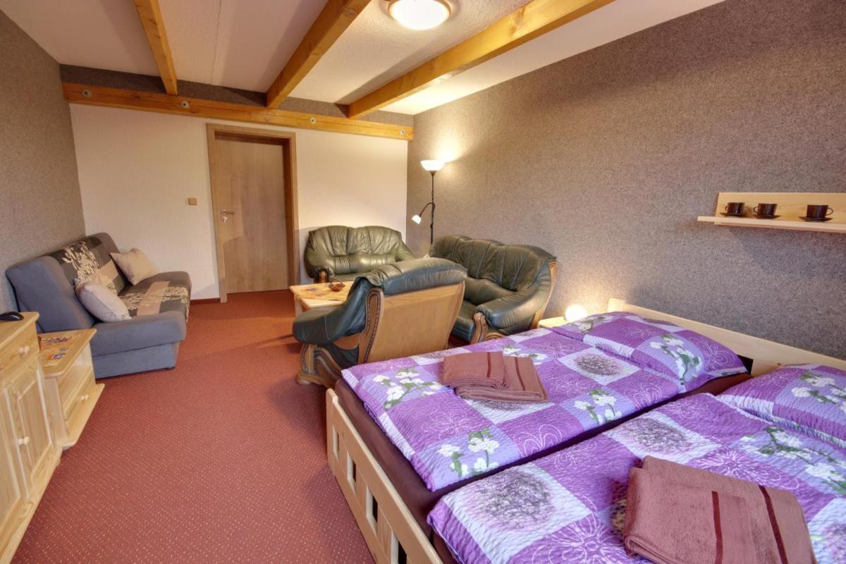 Penzion Harry Na Sjezdovce Krkonose Vysoké nad Jizerou Esterno foto