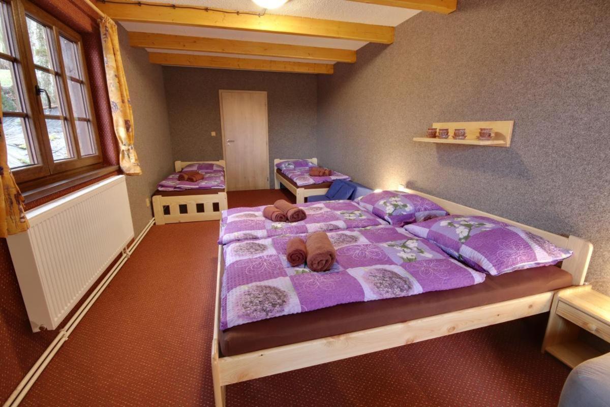 Penzion Harry Na Sjezdovce Krkonose Vysoké nad Jizerou Esterno foto